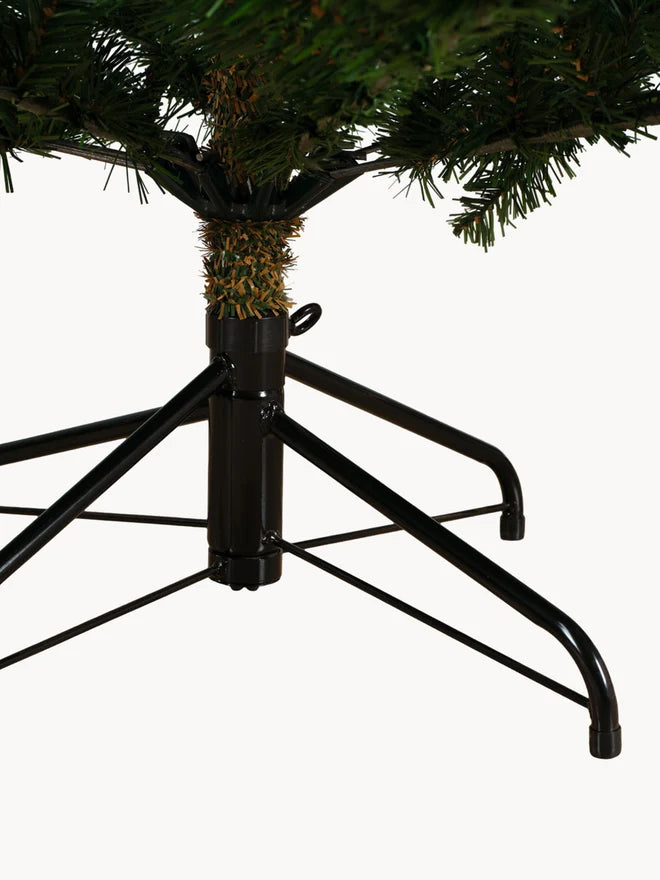 Large Modern Fir Tree