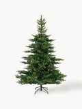 Large Modern Fir Tree