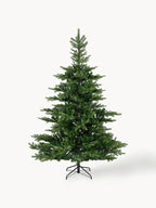 Large Modern Fir Tree