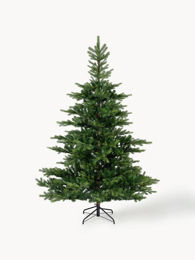 Large Modern Fir Tree
