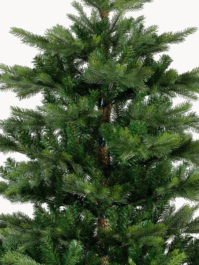Large Modern Fir Tree