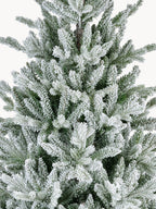 Modern Snow Fir Tree