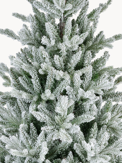 Modern Snow Fir Tree