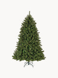 Premium Extra Fir Tree