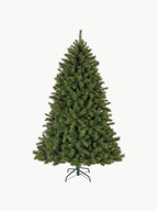Premium Extra Fir Tree