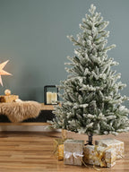 Premium Snow Fir Tree