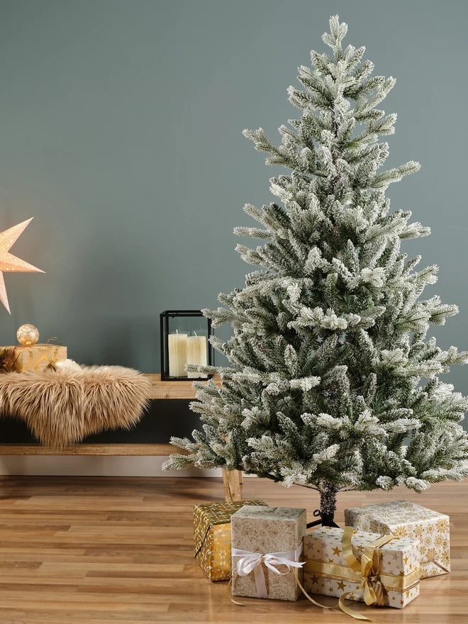 Premium Snow Fir Tree