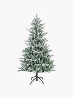 Premium Snow Fir Tree