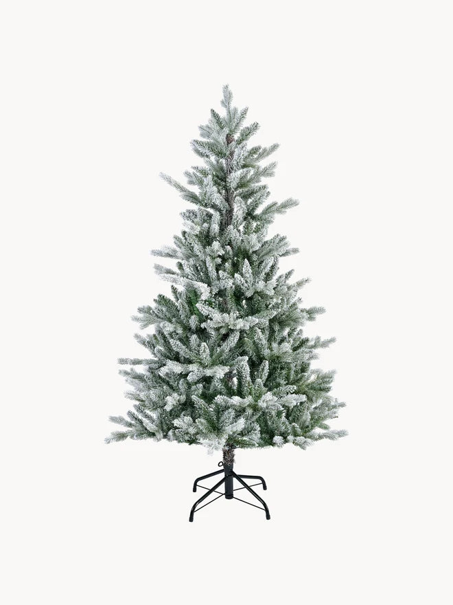 Premium Snow Fir Tree