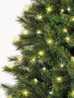 Premium Extra LED Fir Tree