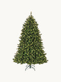 Premium Extra LED Fir Tree