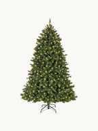Premium Extra LED Fir Tree