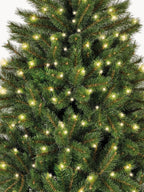 Premium Extra LED Fir Tree