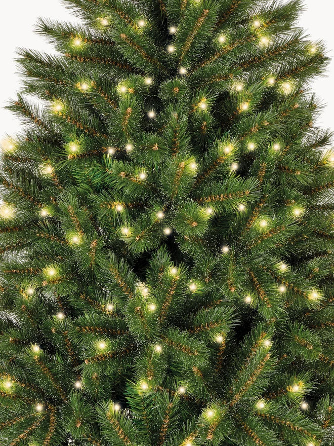 Premium Extra LED Fir Tree